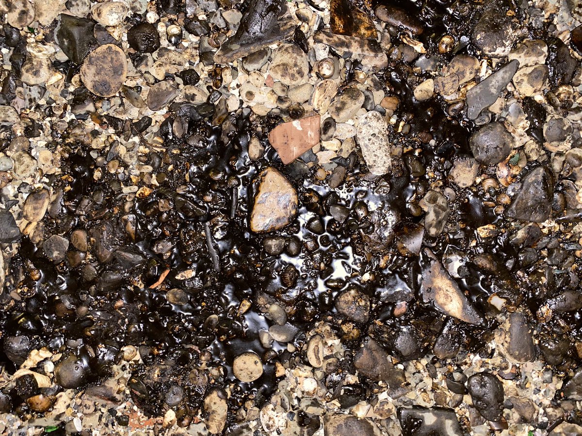 Pugdandee's tweet image. Went to Bandstand last night. So disheartened to see the state of the shore. The rocks I loved tidepooling on are all covered in oil. 

#MumbaiOilSpill