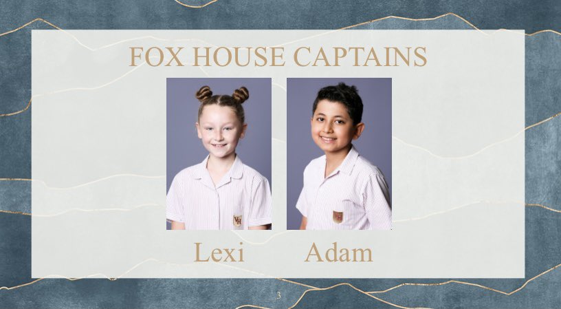 VHPS_HeadHouse's tweet photo. A HUGE congratulations to our 2021-22 House Captains! https://t.co/VCcwOikHdL