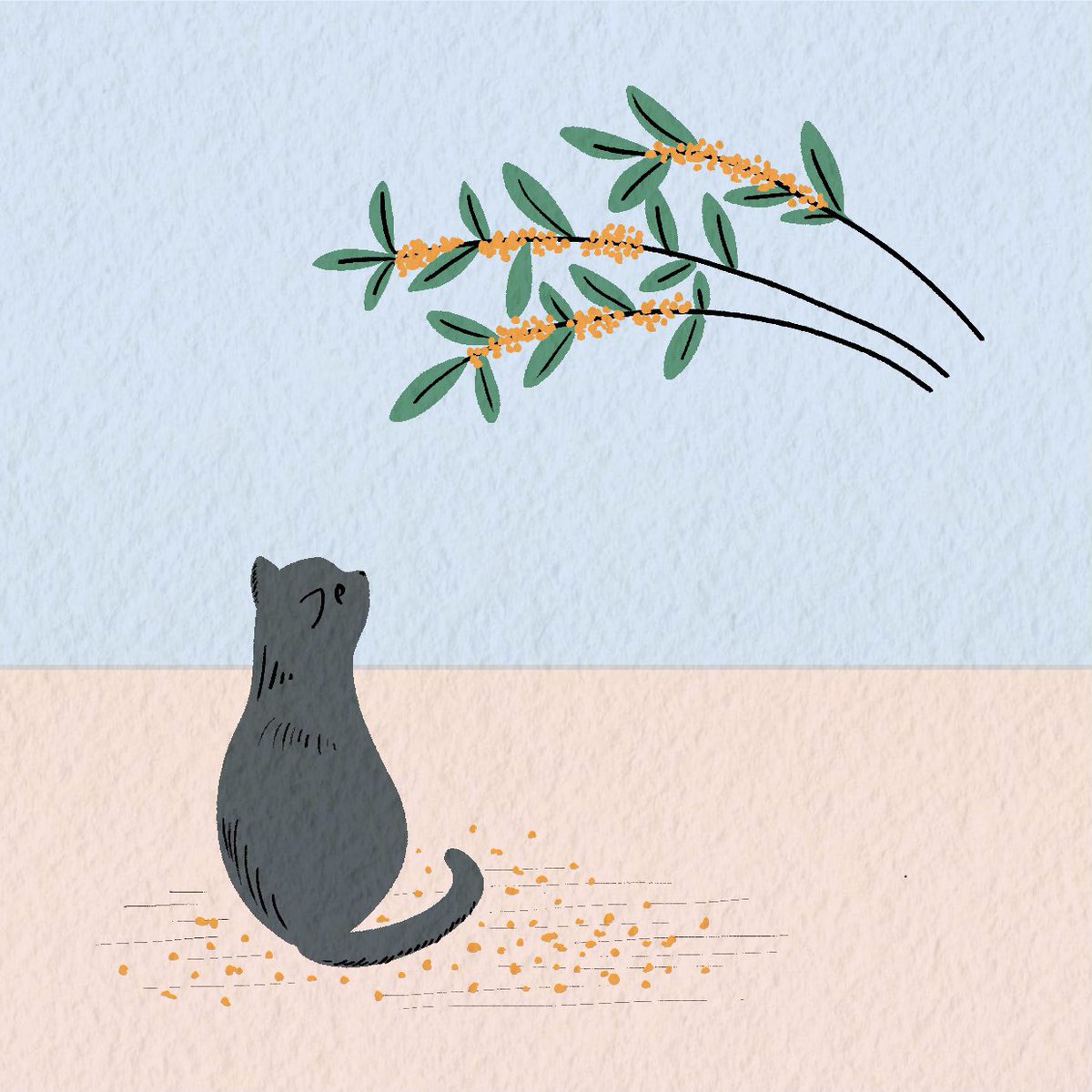 【絵画/イラスト】猫とお花 金木犀 絵画/イラスト】猫とお花 金木犀 金木犀 #金木犀 #猫イラスト