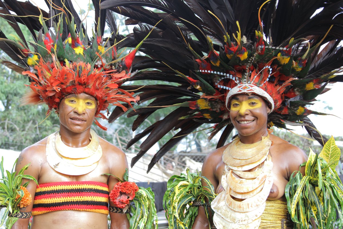 Media Stockade tweet media