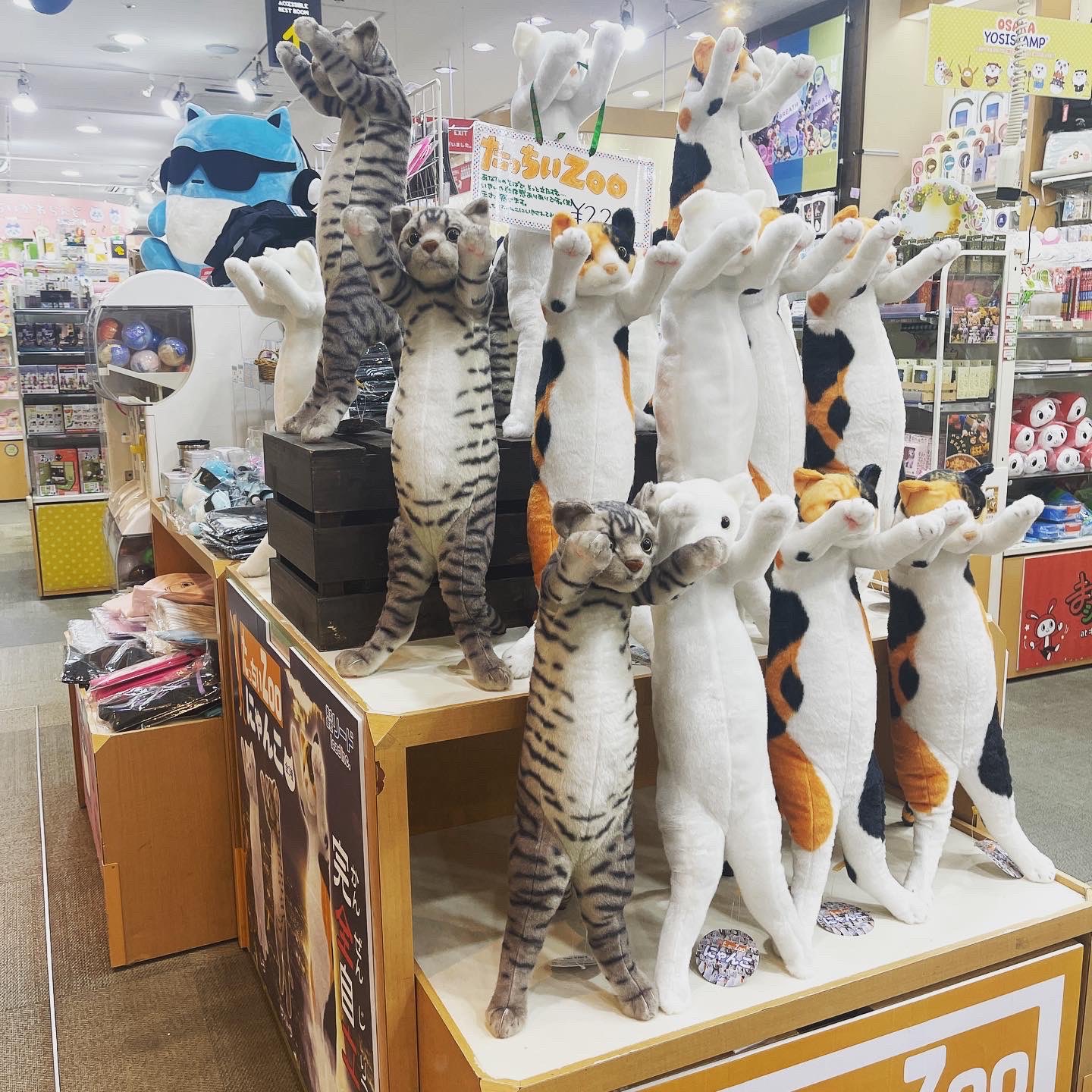 たっちぃZOO にゃんこ 自立ぬいぐるみ たっちぃZooにゃんこ ふーたそ／みら | リードのおみせ Catail