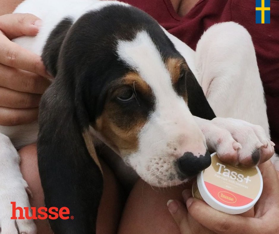 Husse West Lothian on Twitter "Tass Plus Suitable for both Dogs and