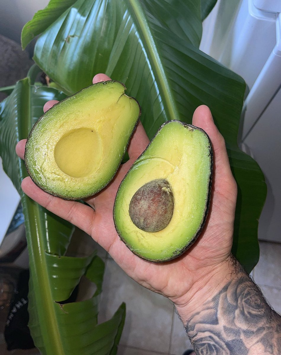 azad45620's tweet photo. A great powerful energy fruit
Can you eat the fruit,,,
What is his fruit name tell me all.., https://t.co/HRBijRlX7B