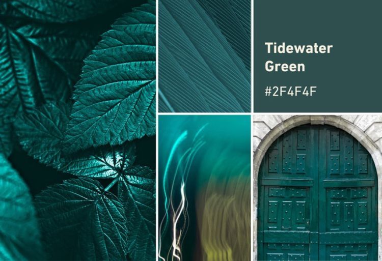 aldouhab's tweet photo. صباح الإلهام،، 🤩
يعتبر لون Tidewater Green أحد الألوان البارزة لهذا العام
اللون مستوحى من ألوان المحيط حيث الغموض والهدوء والفخامة👌🏻
وهو عبارة عن خليط بين الأزرق والأخضر مضافا إليها اللون الرمادي،،، اللون من اختيار Shutterstock
كود اللون للاستخدام
#2F4F4F
@Enr_des https://t.co/JTibx22Xht