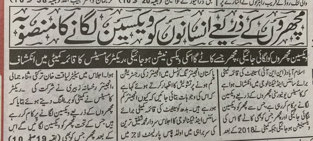 IftikharFirdous's tweet photo. A Pakistani University [Comsats] told the Senate Committee on Science &amp; Technology that the University had invested in experimenting injecting mosquitoes with vaccine who in return would bite people to get vaccinated &amp; get immunity. [Source Daily Mashriq] [H/T @Umer_Pasanni] https://t.co/RBOD63WfVK