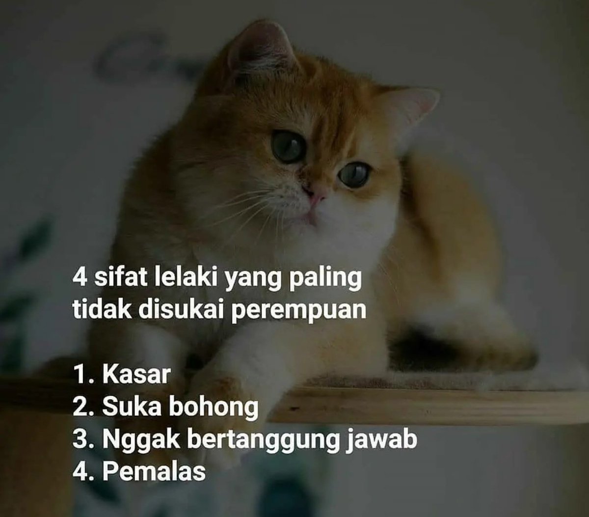 kata2bijak's tweet photo. 4 sifat lelaki yg tidak disukai wanita

1. Kasar
2. Suka bohong
3. Ngak bertanggung jawab
4. Pemalas https://t.co/T70R0j4fUb