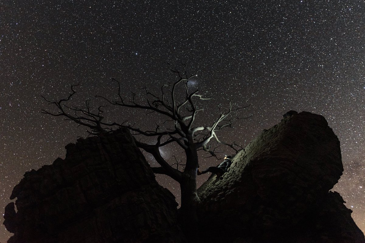 Camping with real stars who I look up to 🙌 This place makes you humble 🌌
Cederberg and these Ceder trees 🌲 what a place to be! 😍 #Cederberg #Cedertree
