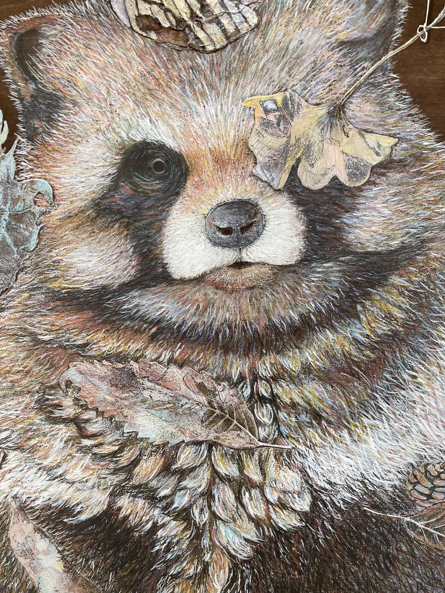 隠し絵 Twitter Search Twitter