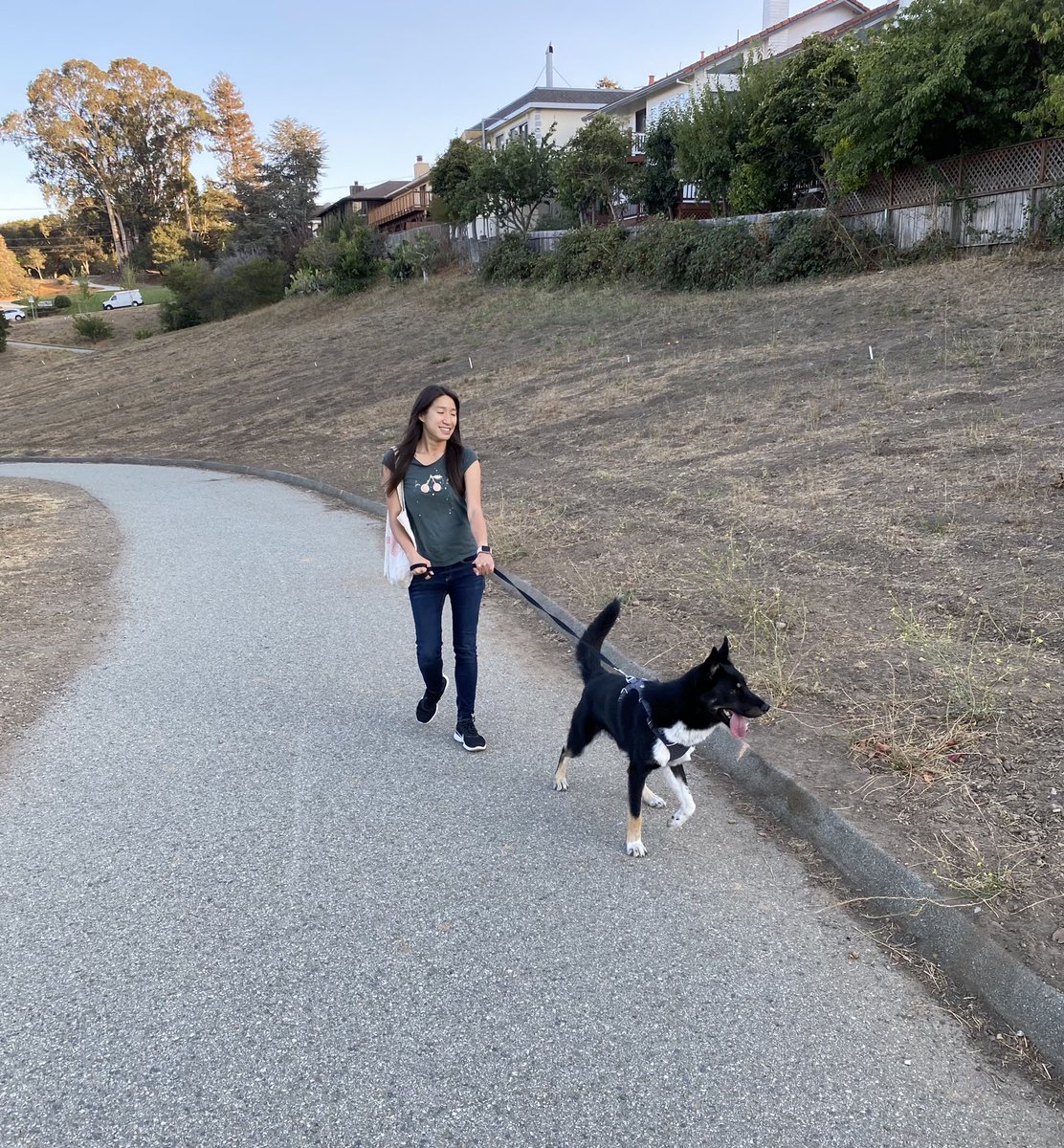 It was like love at first sight, I can’t get you out of my mind since we first met. Now I can’t wait to build a life with you! I know it’ll not be easy, as we’ll both need to adjust. I’m not a morning person, but I promise to walk with you everyday. Today’s a big adoption day ❤️