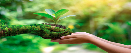 UNESCOHEDGES's tweet photo. Green Economy for a Transformative Sustainable Future https://t.co/gfpX1w6hfO