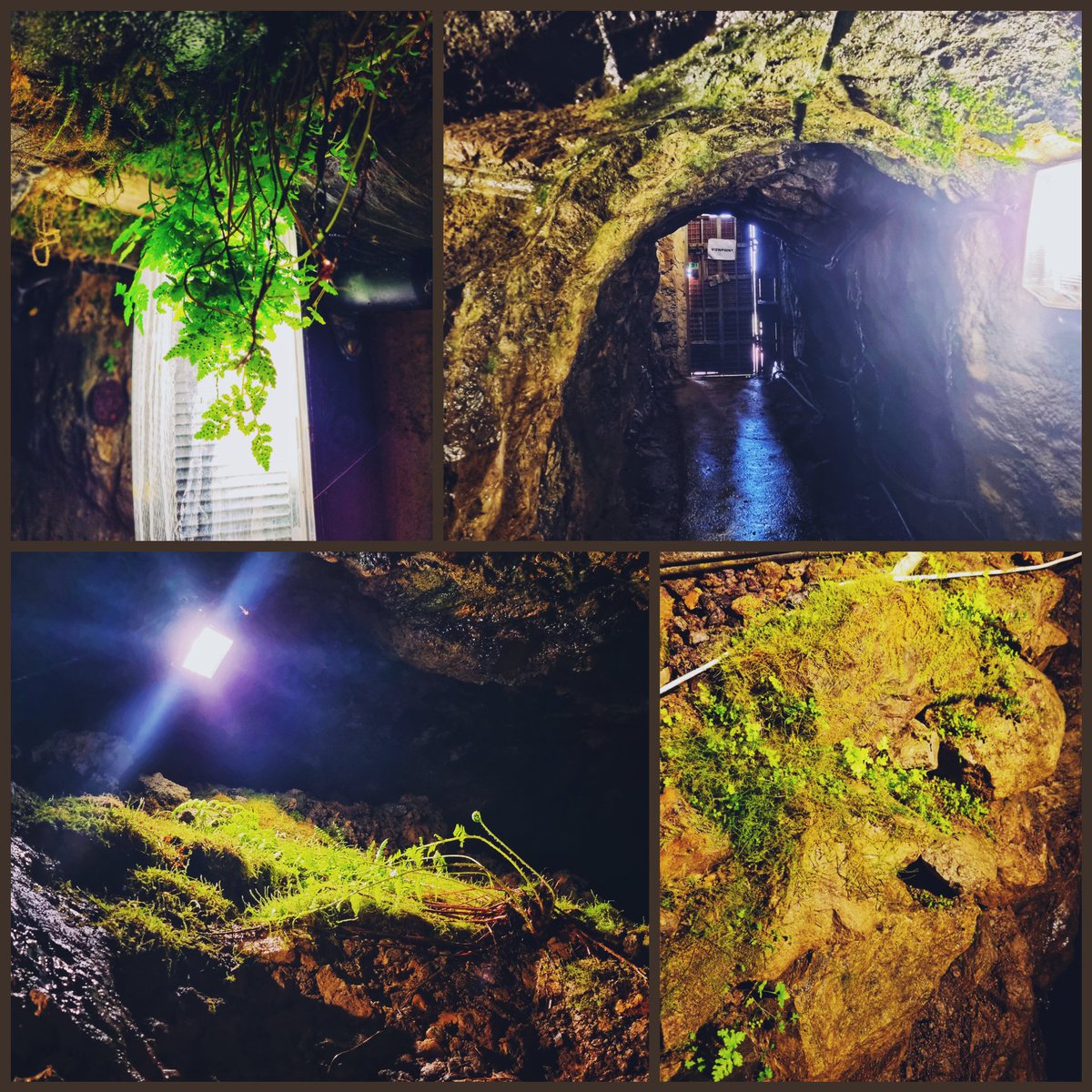 Treak Cliff Cavern tweet media