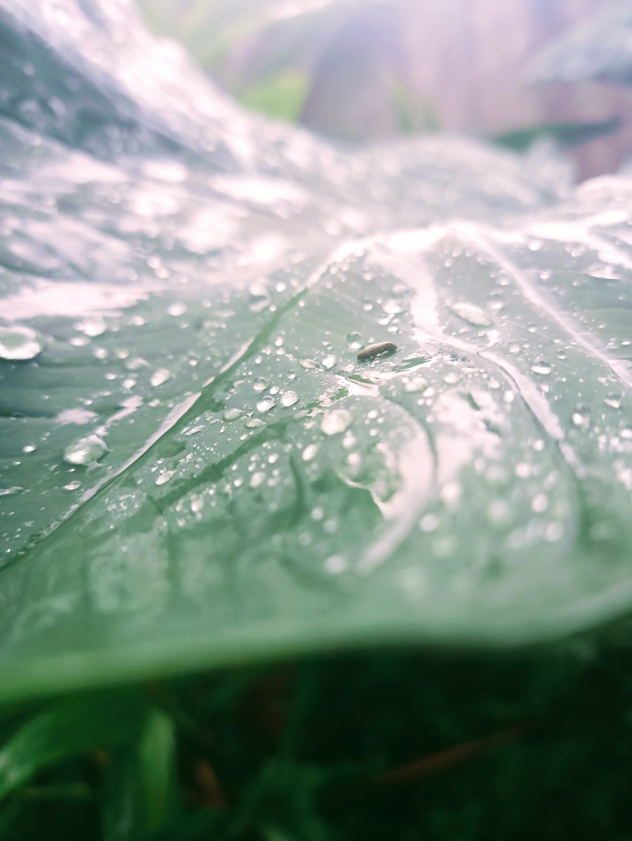 Sally (@chautrandinh) on Twitter photo 