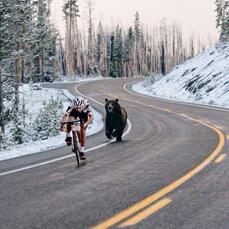 DawsonsRapture's tweet photo. Being Chased Away for Dinner . . . But now for the rest of the stories:
https://t.co/h6Plf4rHlD https://t.co/9smT0AOgEk