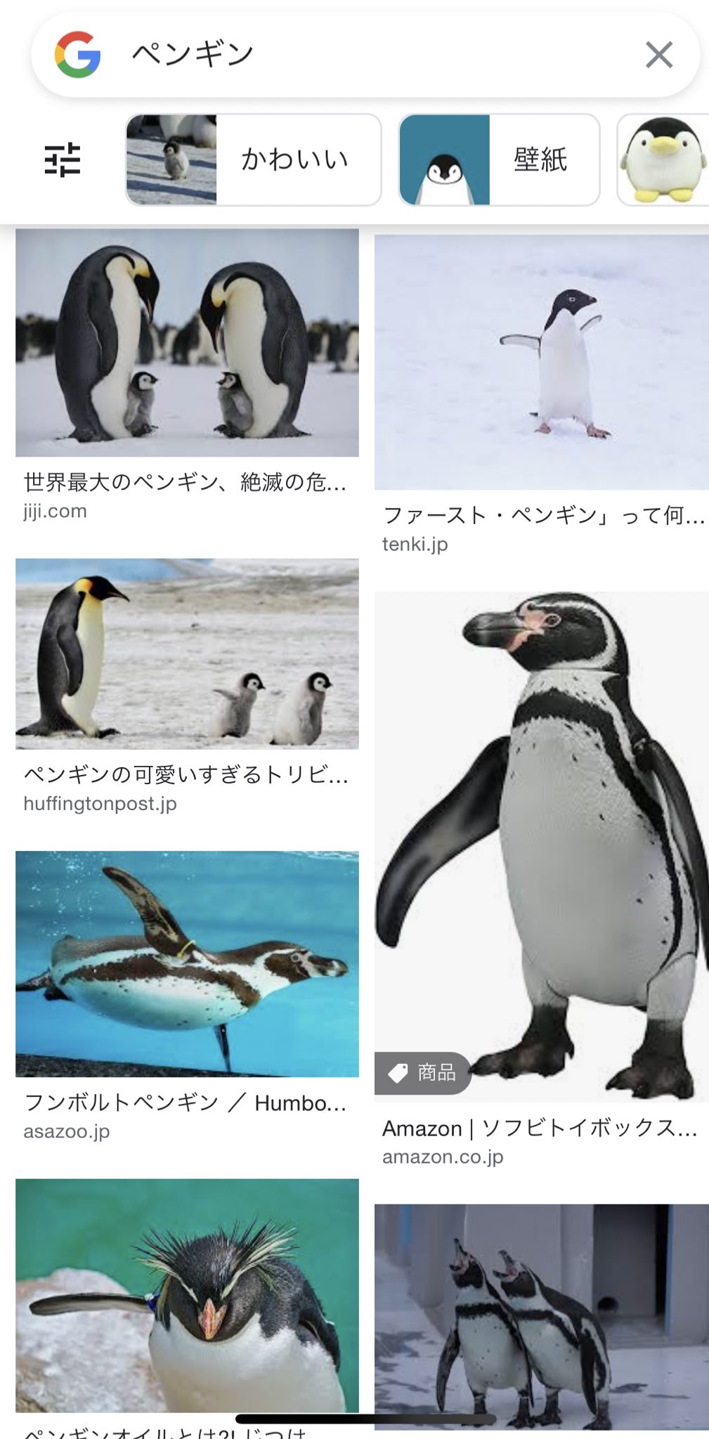 Soda Bar ペンギンって宇宙人なんじゃないか説が浮上してるんだって笑 T Co 9ahsiqk2fn Twitter