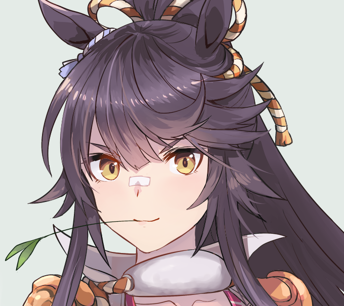 ナリタブライアン(ウマ娘) 「シャドーロール忘れてたので顔周辺差分 」|草薙芳のイラスト
