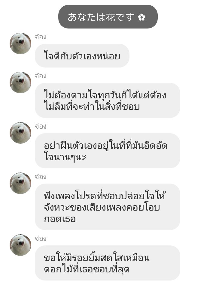 CUTIEXMOMI's tweet photo. วันนี้จ๋องไม่ใส่วิกแน้ว https://t.co/8WtLOiRf97