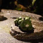 ツイートに含まれる画像