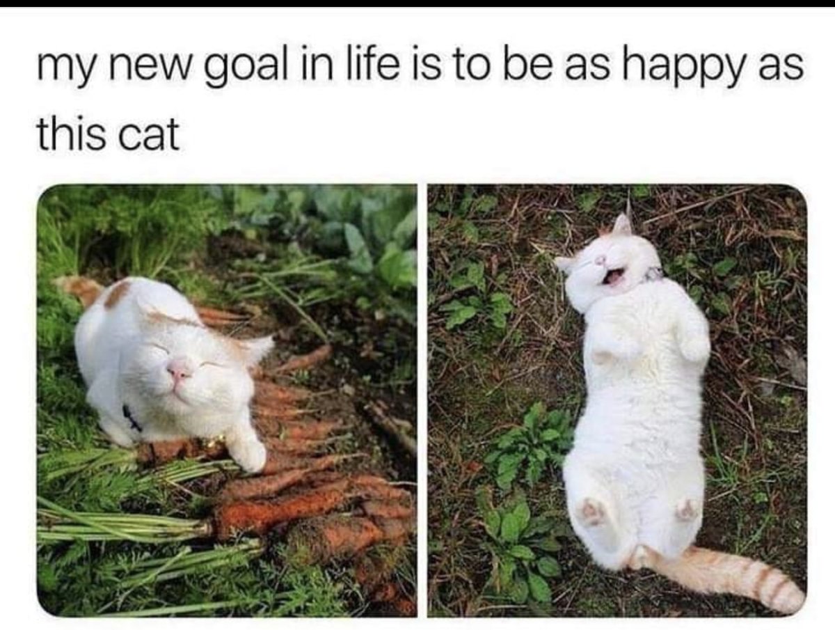 MindsLoop's tweet image. Happy Thursday!