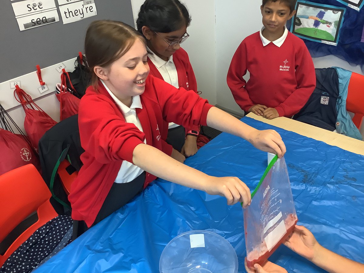 StPhilipsY6B22's tweet photo. In science, the children extracted DNA from strawberries as part of our topic about living things. They were surprised by its appearance and texture! #StPhilipsScienceY6 https://t.co/PoQEUcH4ZO
