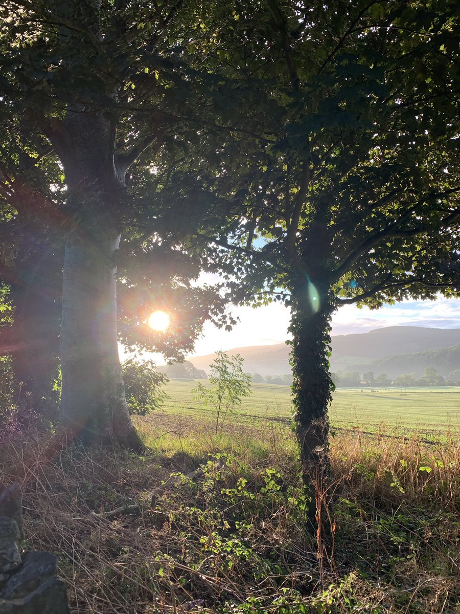 Mellany McLoone (@mermaidsea) on Twitter photo Beautiful sunny south east this morning Beautiful sunny south east this morning