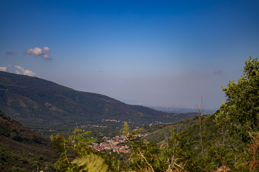 bikepacking4's tweet photo. Stage 59: After a sleepless night in the beautiful town #Avellino with an extrem loud nightlife we left the inland from #Italy to reach #Napoli. The #chaos of #traffic stressed us to the max. A wonder we reached the #apartment in one piece. #Naples #Bici

https://t.co/Ypl3f9tAw1 https://t.co/Mmbado4AkM