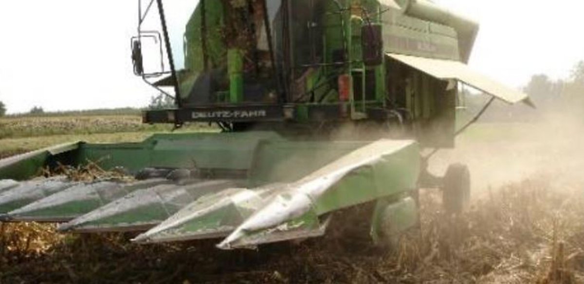 ruralcat's tweet photo. 📃🚜🌾El Servei de Sanitat Vegetal del DACC publica un procediment per a la neteja ràpida de les màquines recol·lectores en panís. https://t.co/Pt7jiZjxgD https://t.co/BGtjyDzuoJ