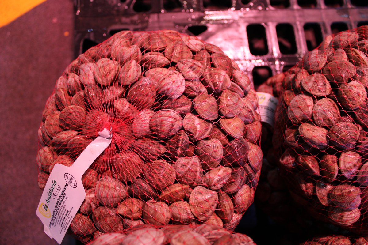 gcamsl's tweet photo. #RosalesMadrid, puesto 132 en #mercamadrid , deslumbra con sus moluscos🐚 https://t.co/uKUvMmaMvU