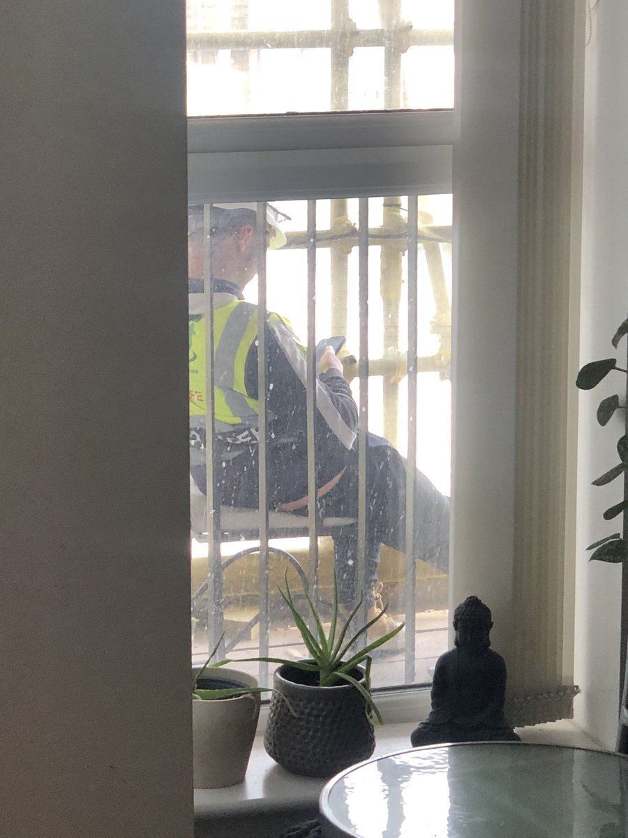 MadeByMitch's tweet photo. @billybixby I have the same problem… just chill outside my window, sometimes singing… if you can call it that. https://t.co/ogdfiYyySw
