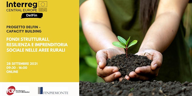 Interreg DelFin tweet media