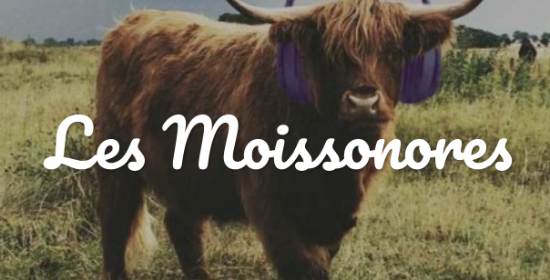 FannyCOMO's tweet photo. 📣 Avec @AliceDurieux et @azilizpod j'aurais le plaisir d'animer le "Restau des Podcasts" des @Moissonores au @PodcastParis les 16 et 17 octobre, pour vous faire découvrir plein de podcasts avec notre menu personnalisé ✨🎧

https://t.co/f2pI73dGiE https://t.co/BxBoreqBEw