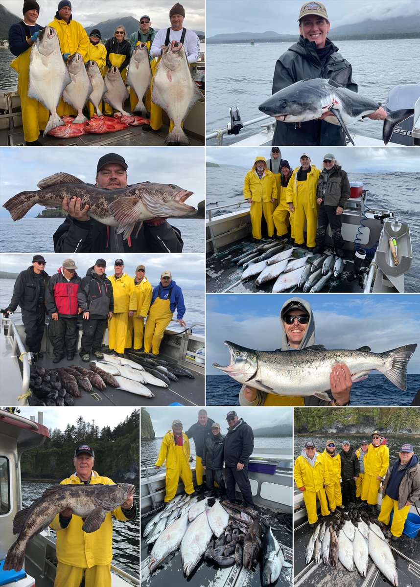 9-15-21: A variety pack kind of day with a bonus Salmon Shark! #sitka #salmon #fish #fishing #alaska #fishinginsitka #fishinginalaska #sitkafishing #alaskafishing #halibut #rockfish #lingcod #salmonshark #shark #cohos #cohosalmon #wildstrawberrylodge #alaskapremierchartes #ak