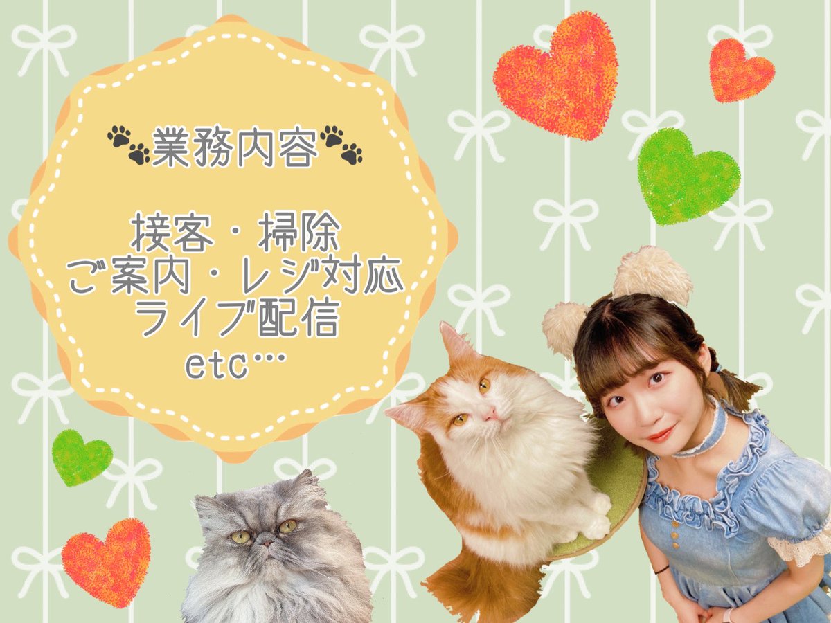 僕と猫 秋葉原店 Bokunekoakb Twitter