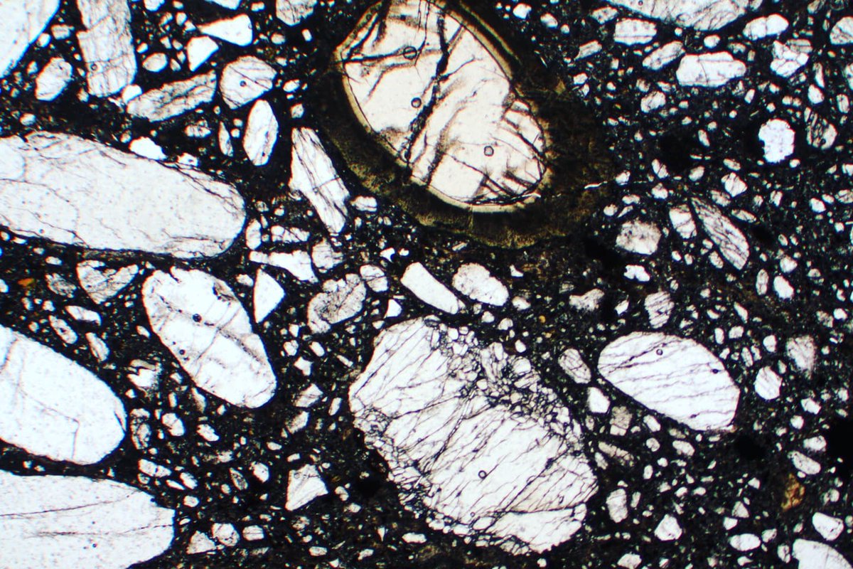 Olivine crystals (rounded and fragmented) and garnet (isotropic at XPL) with reaction rim set in a dark groundmass composed by carbonates.  kimberlite from Udachnaya-East, Sakha-Yakutia (Russia). XPL and PPL  image, 2x (Fov = 7mm)
#thinsctionThursday #kimberlite #alexstrekeisen