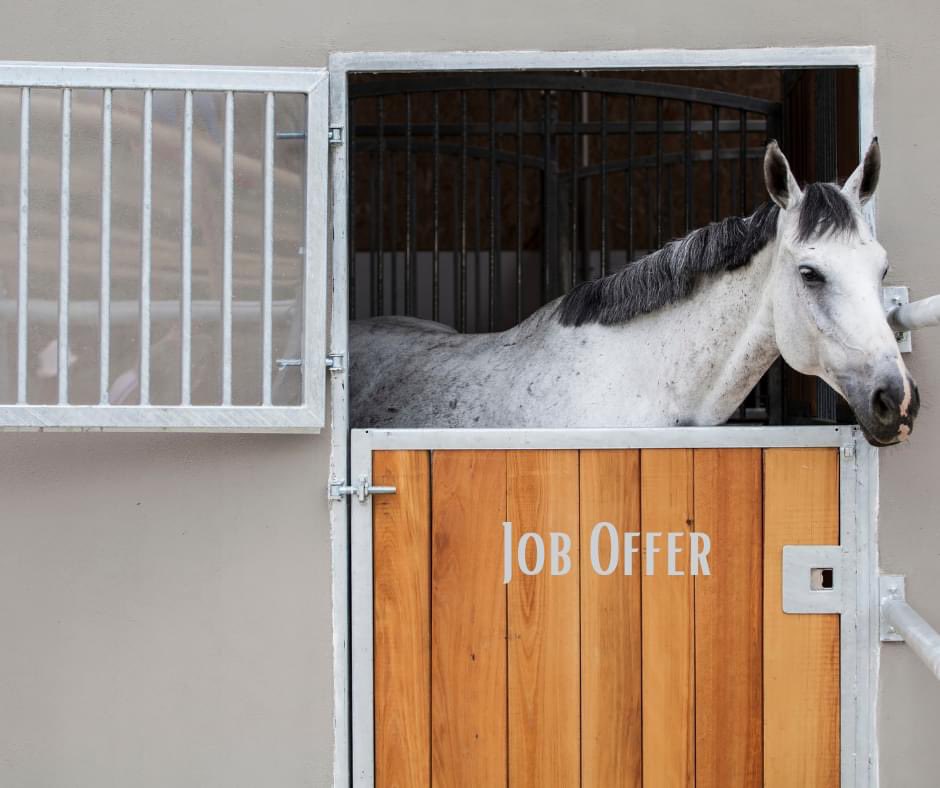 📌 Job offer 📌

Small Stable Yard in Carrigtwohill requires part time help. 
1 to 2 hours / day - Monday to Friday including bringing in horses each evening.

For more details; 📱Phone📱 086-2596534