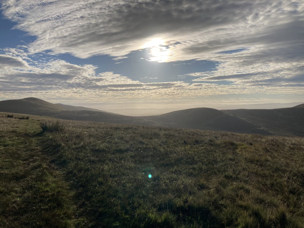 Elly.Gaunt_lab 💙 tweet media