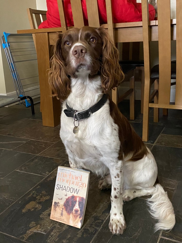 Michael Morpurgo Shadow