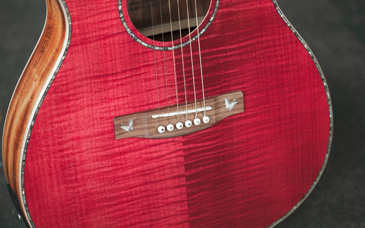 lindoguitars's tweet photo. Our beautiful Dandelion also comes as left handed ! 🌸
#flowers #dandelion #guitar #guitarsdaily #acoustic #acousticguitar #lindoguitars #pink #flamedmaple #abelone #butterfly #nature #pinkguitar #fretboard #detail #fretboarddetail #12thfretinlay #preamp #guitarist #musician https://t.co/WTFKZtXWeJ