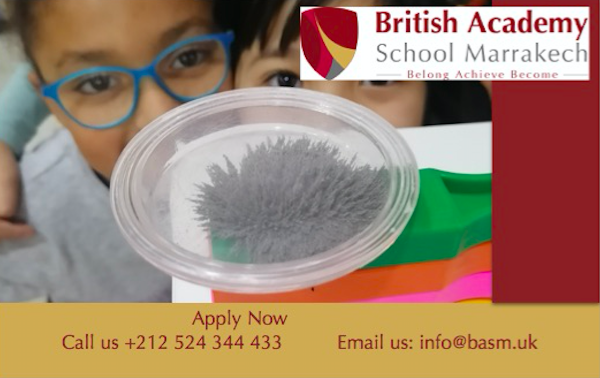 BASM42106732's tweet image. Registrations are still open! Visit us online or on campus Monday - Friday from 08:00 - 17:00! #BASM #britishschool #internationalschools #marrakech #morocco #maroc #registration #inscription #open #backtoschool #education #learning