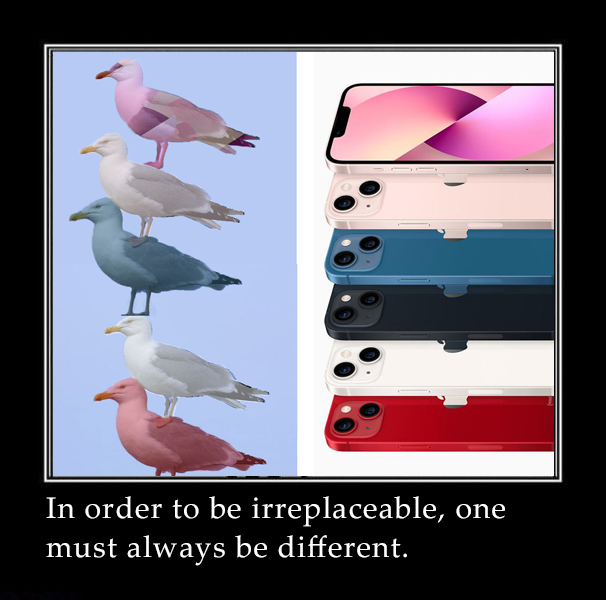 Web3Seagull's tweet photo. Seagulls and its #iphone13 friends, also seagull, are unique and gorgeous.@Apple https://t.co/Z6DBlOtR7L