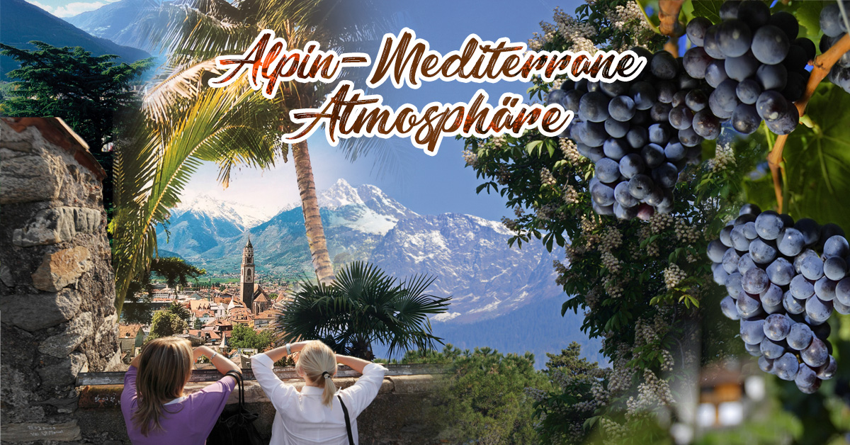 Ob als Westend Girl beim #shopping 🛍 in den Laubengasen von #meran oder als Apfel- und Weinbauer 🍎🍇 in den Plantagen der Südtiroler Weinstraße - in #südtirol kannst Du Dich im #urlaub immer lässig in Szene setzen. 🥰👉 news.alpenjoy.de/archiv/Westend… #alpin #mediterran #alpen #berge