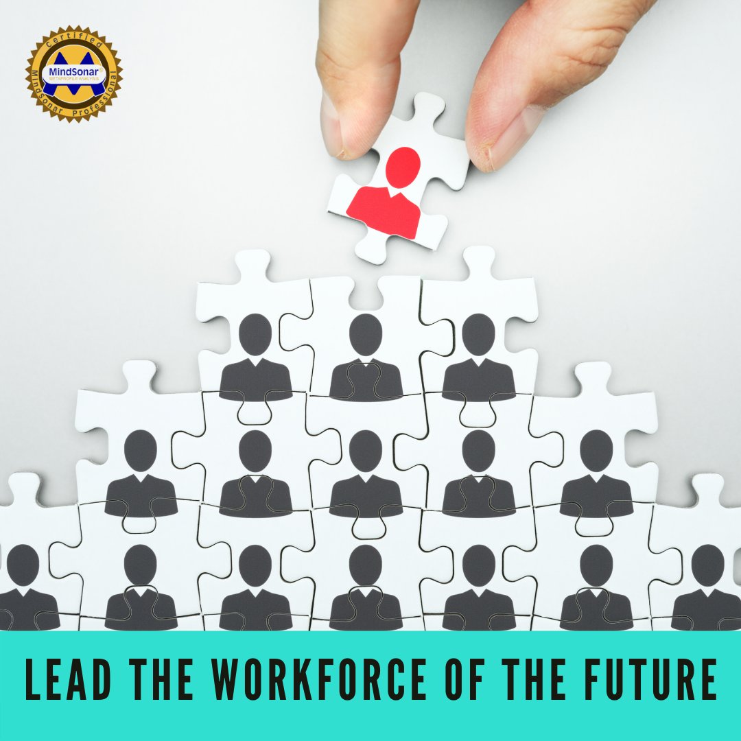 MindsonarUK's tweet photo. MindSonar® dive beneath the surface and helps your clients or workforce avoid issues and solves problems in communication, understanding, recruitment, professional and personal growth.

Sign up now through Eventbrite or call Ian 01455241204

#coaching #consultants #trainers https://t.co/dwMdQmym5R