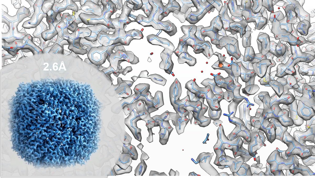 #CAFR, 2.6Å map of Apoferritin, 6hrs of data with Ceta-F from Tundra (100kV cryo-TEM)