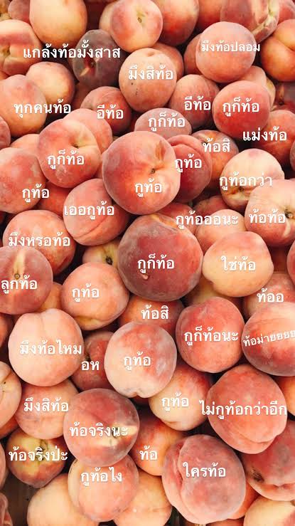 ᶻ 𝗓 𐰁 .ᐟ tweet media