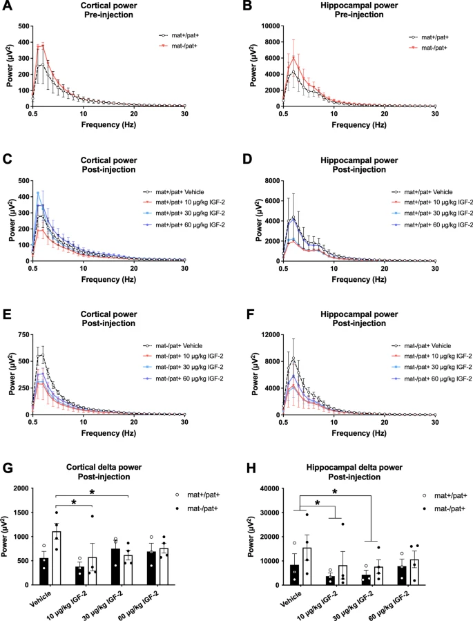 Insulin-like growth factor-2 does not improve behavioral deficits in mouse and rat models of Angelman Syndrome @Iheartneuro @jill_silverman_ @UCDMINDINST @BCMFromtheLabs @PennMedicine molecularautism.biomedcentral.com/articles/10.11…