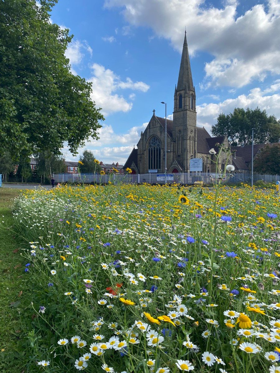 Wild Flowers working again against Climate Change, helping with biodiversity. Great for bees - natures pollinators. #growingwildforbugsandbees
#nature <a href="/MCCHulme/">MCC Hulme</a> <a href="/MCCMossSide/">MCC Moss Side</a> <a href="/MCCRusholme/">MCC Rusholme</a> 
Do you recognise this area? Do you pass it daily?