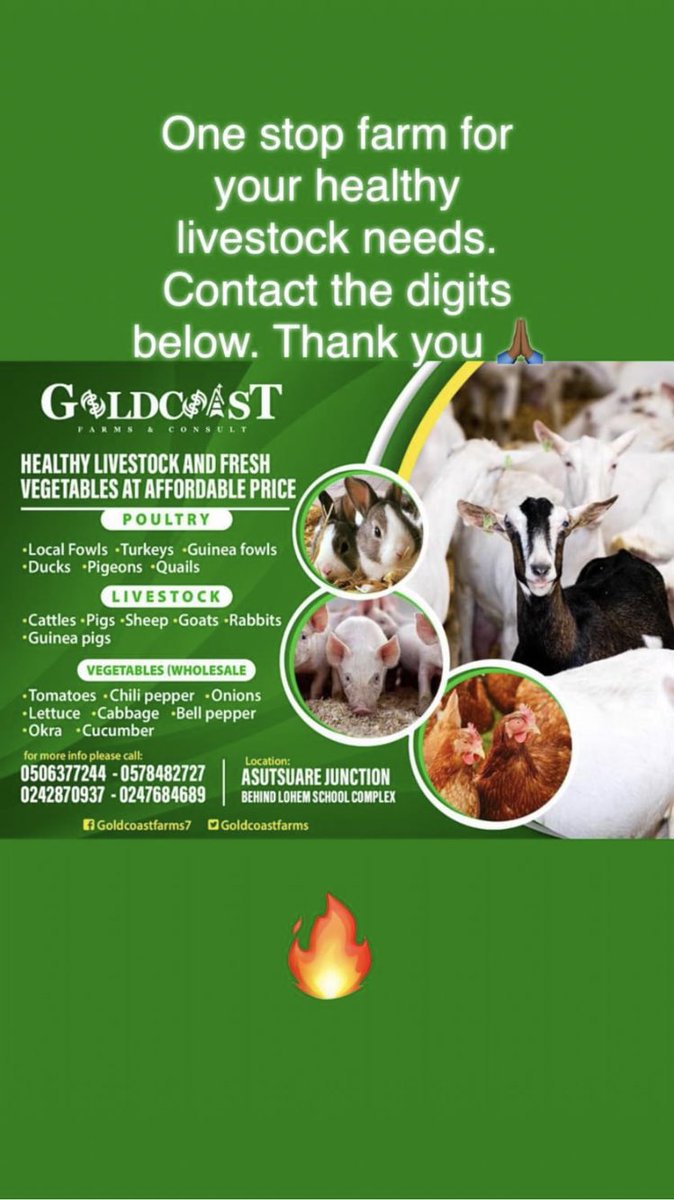 GoldCoast Farms & Consult (goldcoastfarmss) Twitter