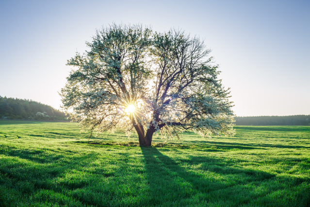 JaquiParchment's tweet photo. The @IPCC_CH report highlights the urgency and need for scale to help achieve #NetZero emissions by 2050. #Investors have many levers to pull in addressing short-and long-term risk-return questions while pursuing a net zero #portfolio. #ESG #investments https://t.co/rDQaSqz4HG https://t.co/mwZIH2HKBq