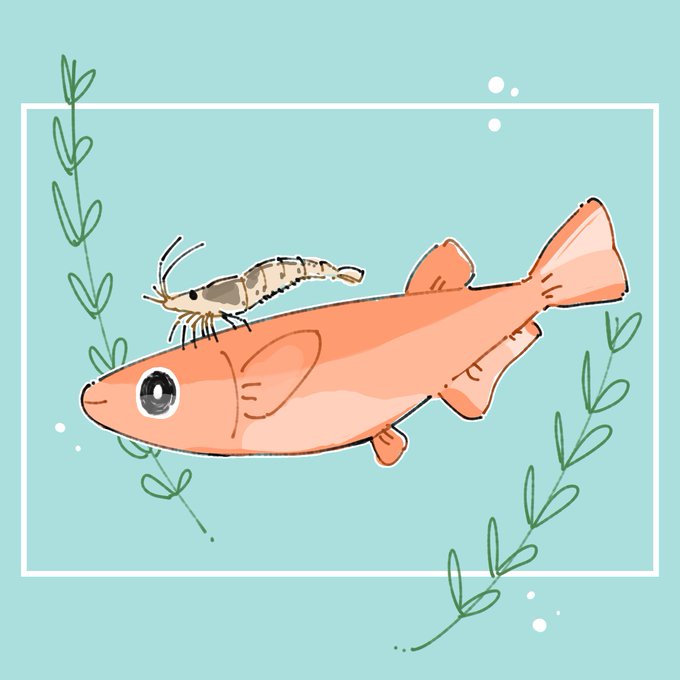 Meda Ka12さんのイラストまとめ