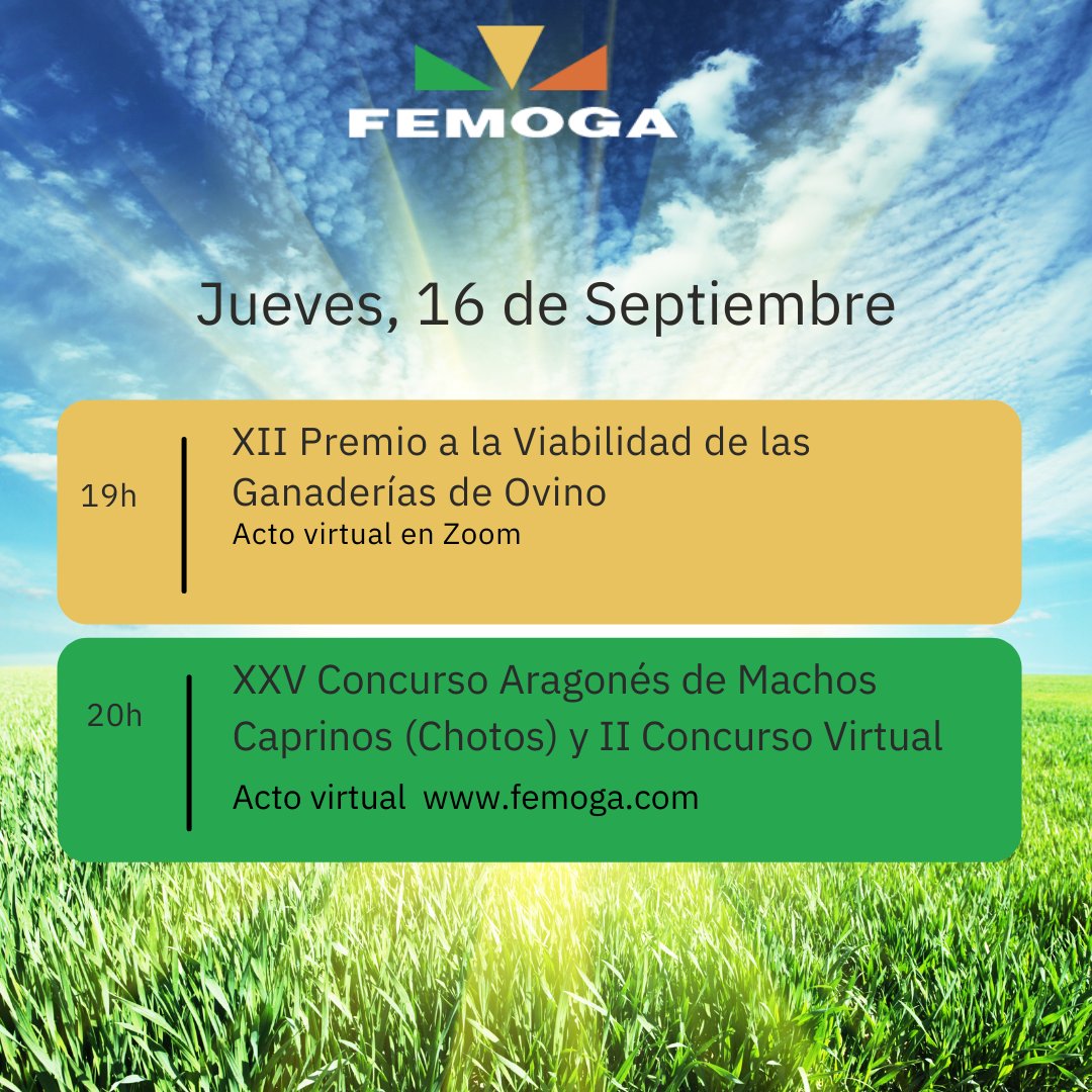 FEMOGA SARIÑENA tweet media