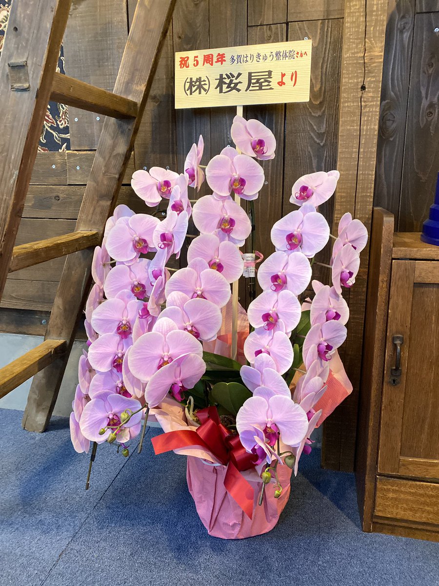いいねしてもらえると嬉しいです Hashtag On Twitter